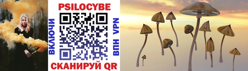 Галлюциногенные грибы Psilocybe Тольятти